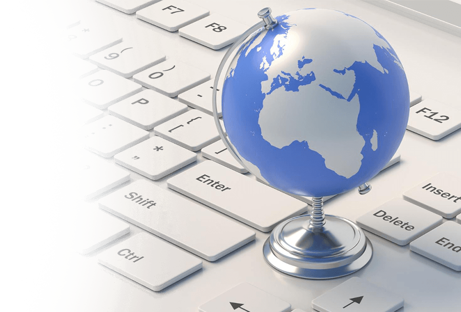 Professional translation services